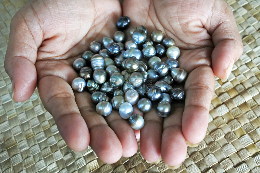 斐济土著妇女手握着一批生的斐济黑唇牡蛎黑珍珠图片