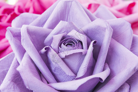 人造紫色玫瑰花特写手工制作的紫色纸玫瑰花背景图片