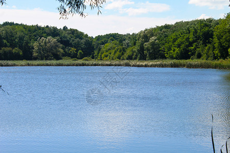 夏天在美丽的湖上看图片