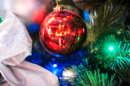 红球在圣诞树的枝上背景图片
