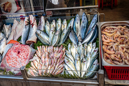 在伊斯坦布尔大集市鱼群图片