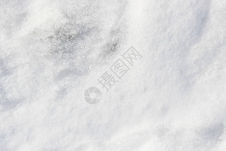 新鲜的白色湿雪冬天室外的背景图片