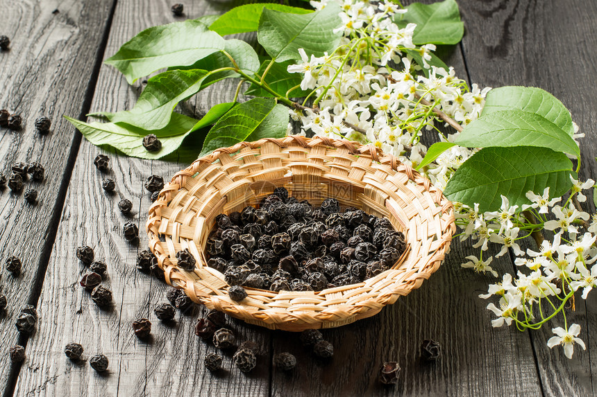 药用植物鸟樱桃Prunus图片