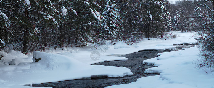 冬季河流的全景与展示水冰和树木图片