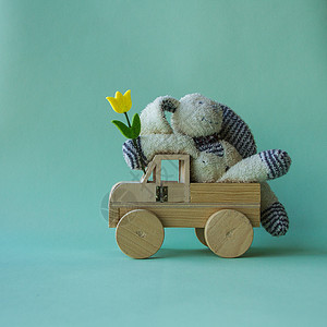 Teddy兔子玩具坐着舒服与黄色的郁金香在汽车和图片
