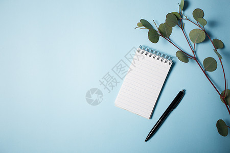 蓝色背景上用笔和eucalypt背景图片