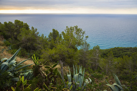 地中海沿岸西班牙图片