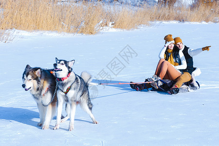 女孩和男孩欧洲外观在冬天的白雪中拥抱两只狗在外面玩耍年轻夫妇男女相爱图片