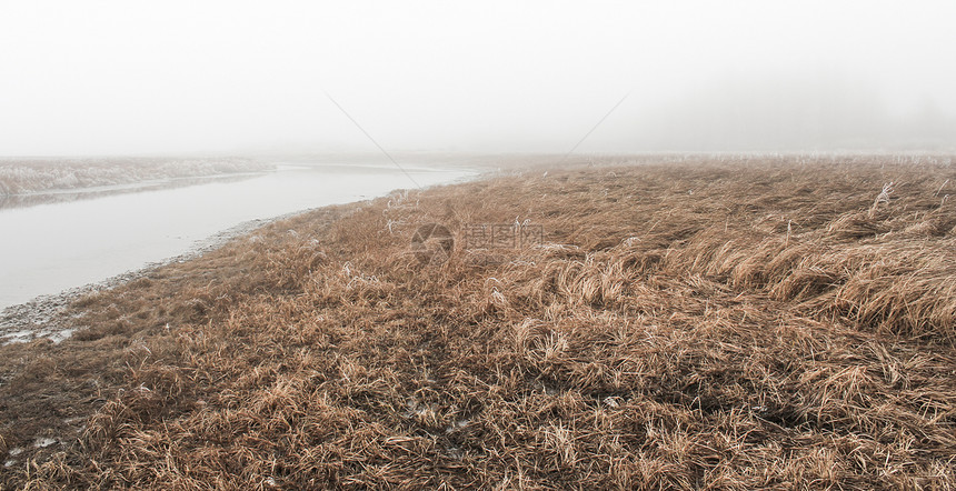 在寒冷雾的天气上自然图片