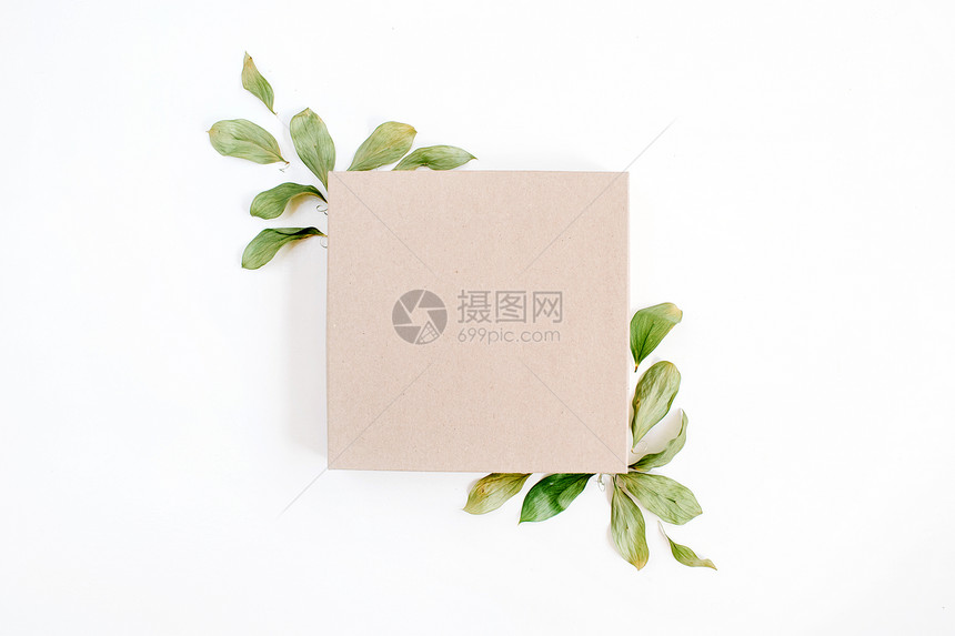 手工艺品盒和花岗岩成分白底绿色叶子图片