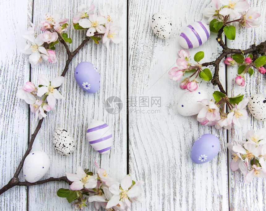 复活节鸡蛋和春苹果花图片