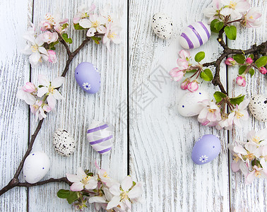 复活节鸡蛋和春苹果花图片