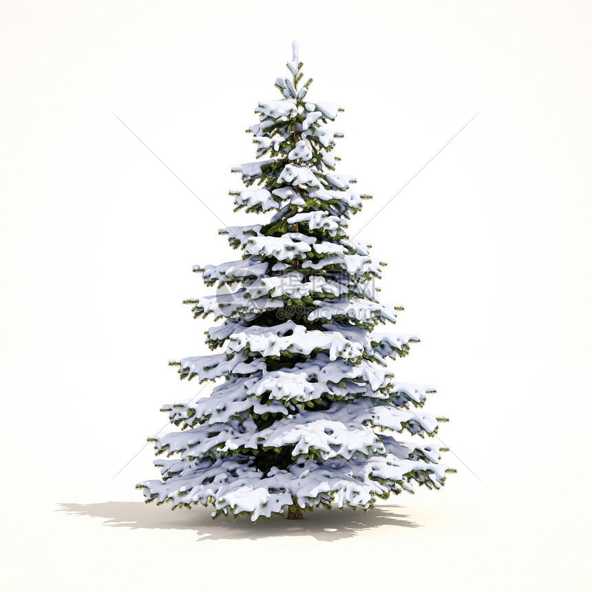 雪覆盖的圣诞树在白色圣诞树诺埃尔树和节日快乐庆祝活图片