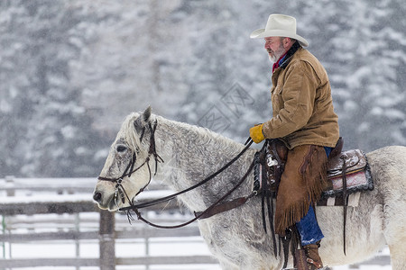 牛仔们聚集了一群马在山雪中奔图片