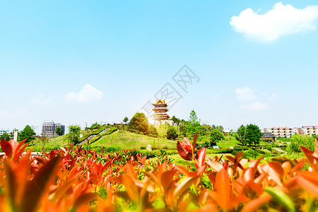 湖心亭和荷塘位于承德避暑山庄它是位于河北省承德市的一座大型皇家宫殿图片