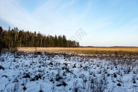 冬天结冰的乡村场景有雪旅游小径图片