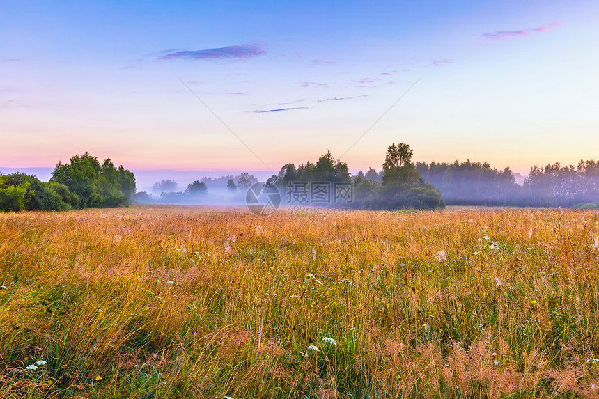 波兰充满活力的风景与大雾草地荒图片
