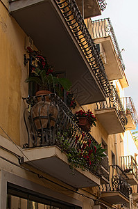 小阳台美极了装饰着各种植物和花朵陶米娜西图片