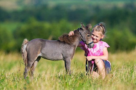 与一匹小微型马在领域的小孩女孩和小马驹在户外夏日可爱的图片