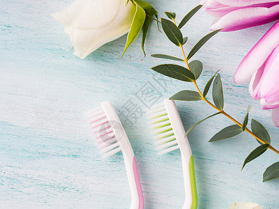 两把柔和的牙刷与花草本在绿色带纹理的背景春天的颜色个人牙科保健背景图片