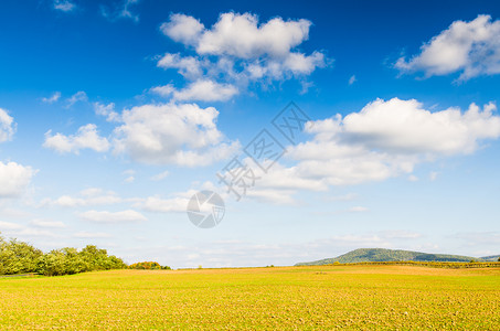 黄色农村田地和蓝天图片