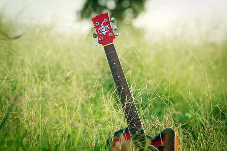 日落时吉他对草地的模图片