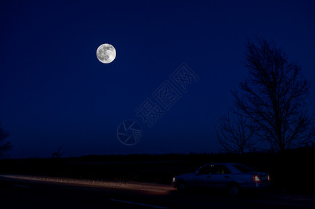 穿过森林的山路深蓝天空和月亮的夜景观图片