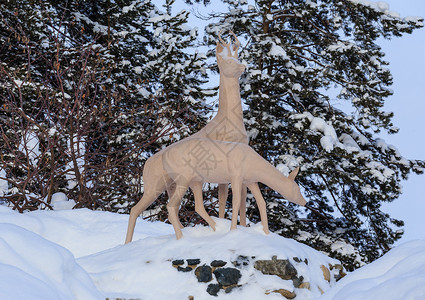 鹿是雕塑的成分俄罗斯阿尔泰贝罗库图片