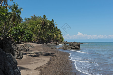 哥斯达黎加太平洋DrakeBay的美丽沙滩图片