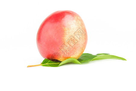 美丽的成熟桃子在白色背景剪纸上被隔离背景图片