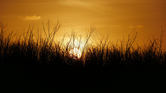 北马里亚纳群岛塞班岛马尔皮的火热日落背景图片