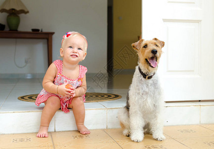 蹒跚学步的孩子和狗小女孩和她的宠物图片