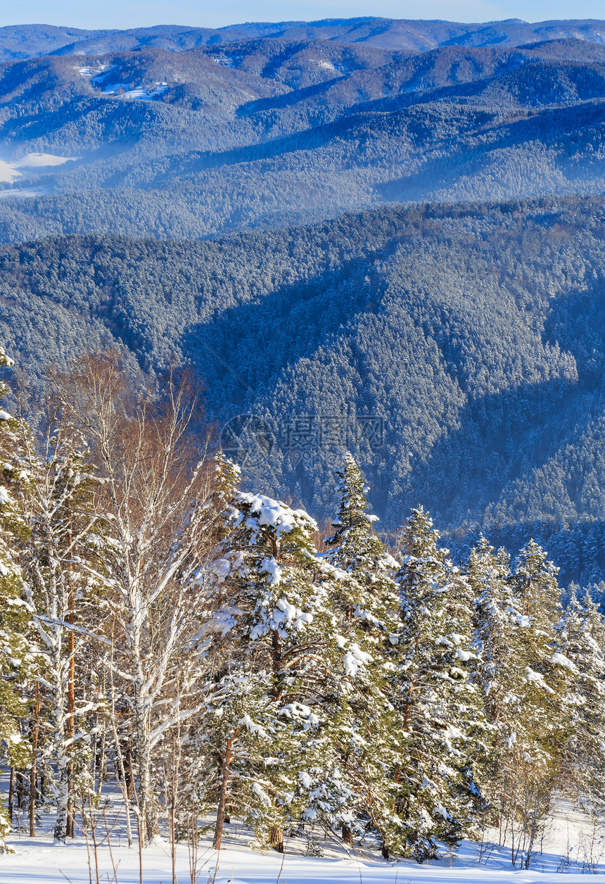 从冬季阿尔泰山区Tserkovka山的景象图片
