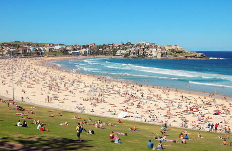 澳大利亚悉尼邦迪海滩的日图片