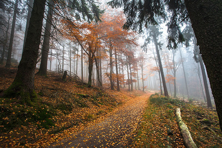 德国山脉和森林的秋天在德国一些普通山脉的徒步旅行中高清图片