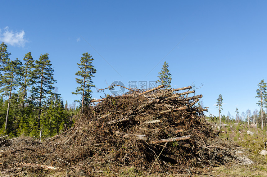 砍伐残渣堆将成为木屑柴火图片