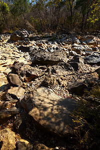 旱季期间的石头河床安卡拉保留地马达加图片