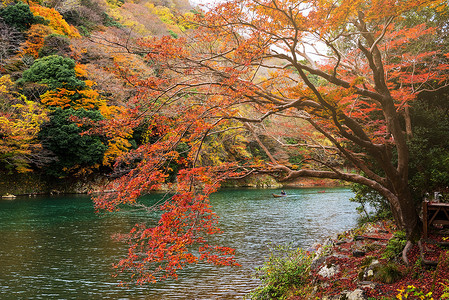 日本京都林山湖附近图片