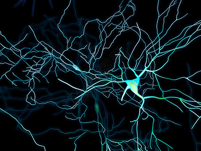 大脑神经元突触神经元的神经网络电路退行图片