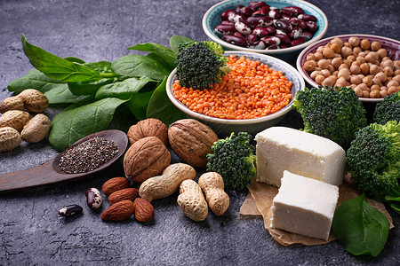蛋白质的维加大源健康食品概念图片