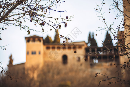西班牙格拉纳达Alhambra堡垒的模糊背景上图片