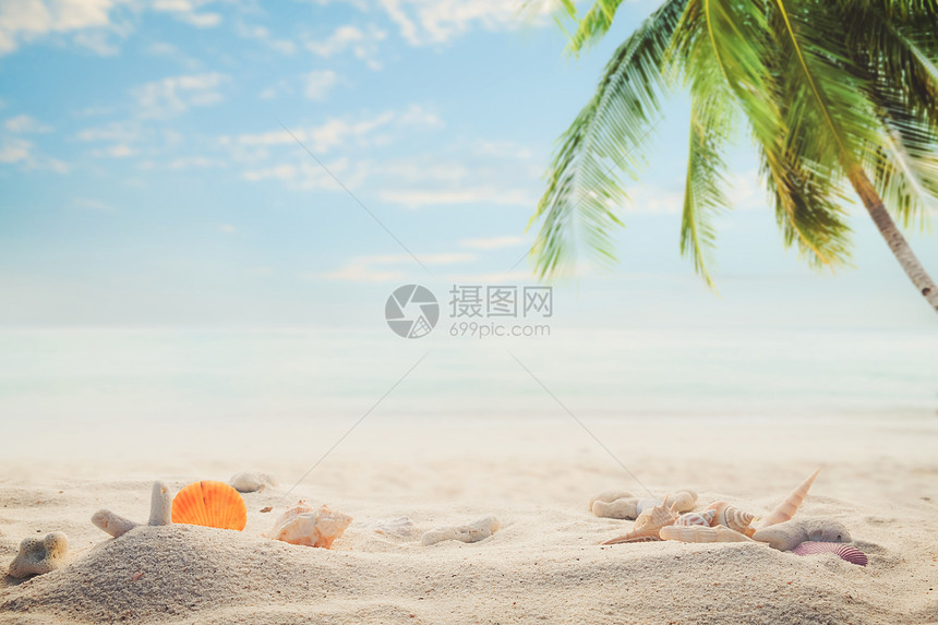 海边夏日海滩图片