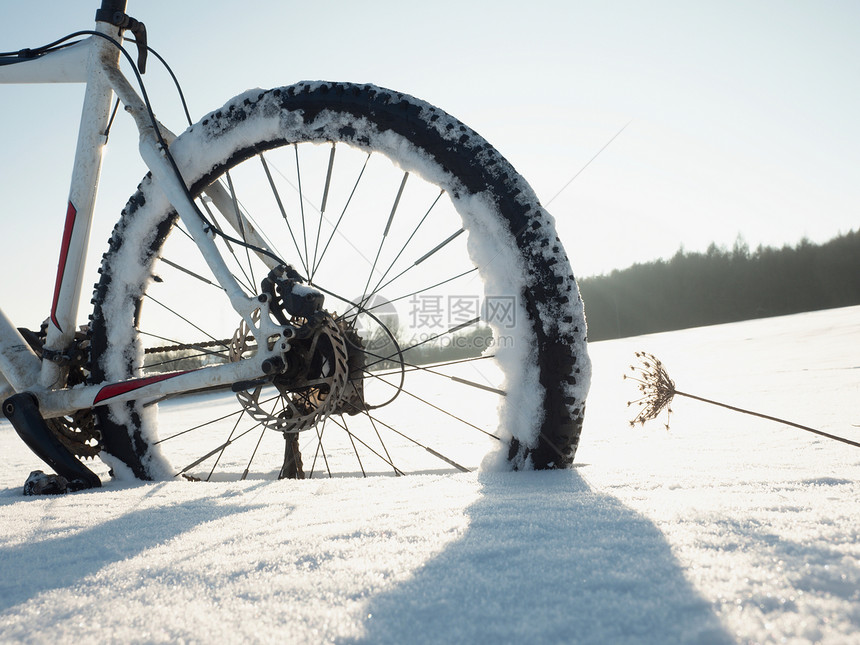 山地自行车停留在粉雪中在深雪堆中迷失了道路后轮细节雪花融化在黑暗的越野轮胎上在该领图片