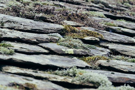 屋顶上有苔藓的石板细节图片