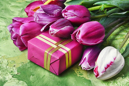 春天的紫色郁金香花束和一盒节日礼物图片