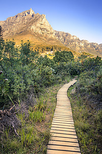 狮子头在南非开普敦徒步旅行以登山为目图片