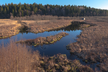 瑞典的湿地在湿地设有图片