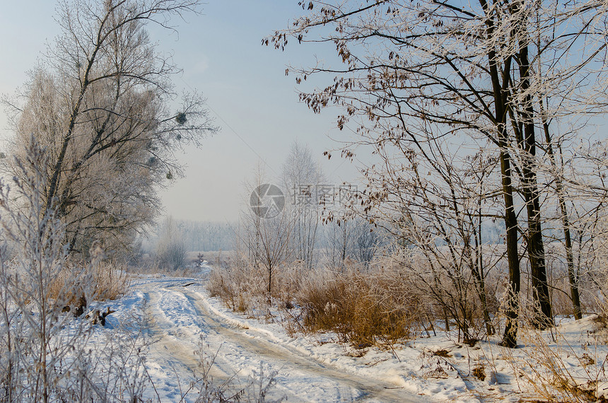 冬季风景美丽的雪覆盖道路雪和霜图片