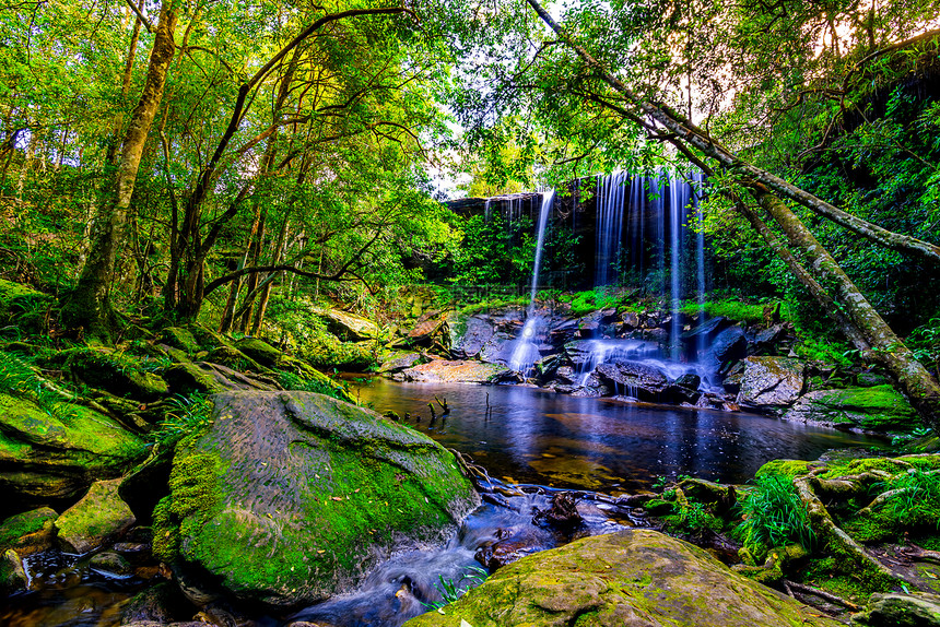 雨林中美丽瀑布的风景照片图片