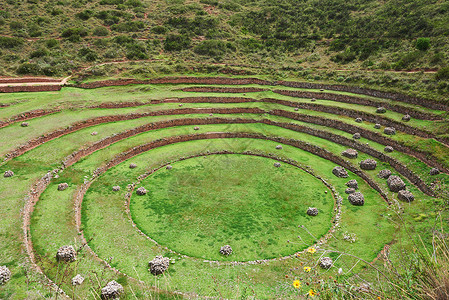 莫雷秘鲁带绿草的圆形环状图片